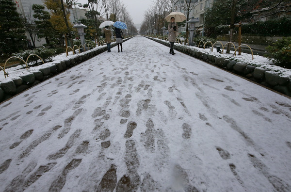 白茫茫 東京積雪1 6公分破141年來最早紀錄 天天要聞