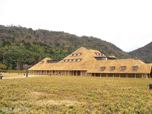 近江八幡不只老街景色季節限定銅鑼燒 年輪蛋糕必吃 天天要聞