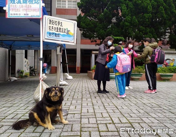 通通給我量體溫 校犬 門口監督 小學生排隊老師贊 防疫生力軍 天天要聞